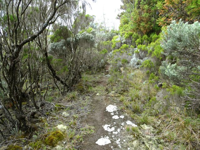 Le discret sentier partant vers le Bras de Pontho
