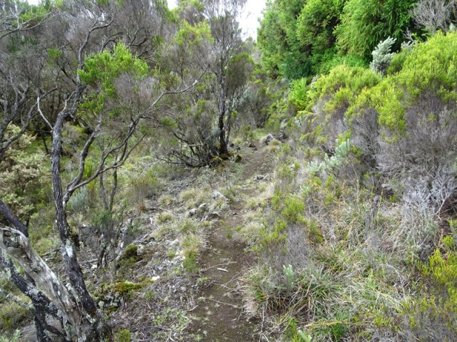 Une autre portion de cet agréable sentier plus propre que l'officiel