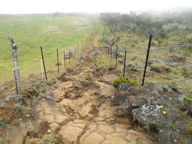 La brume arrive aussi vite qu'elle repart