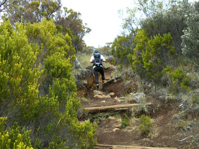 Le sentier creusé par les milliers de passages