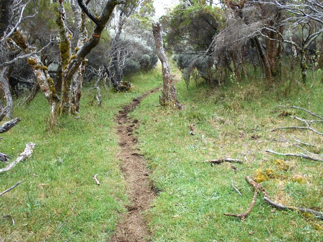 Vers le Textor dans les branles verts et l'herbe rase