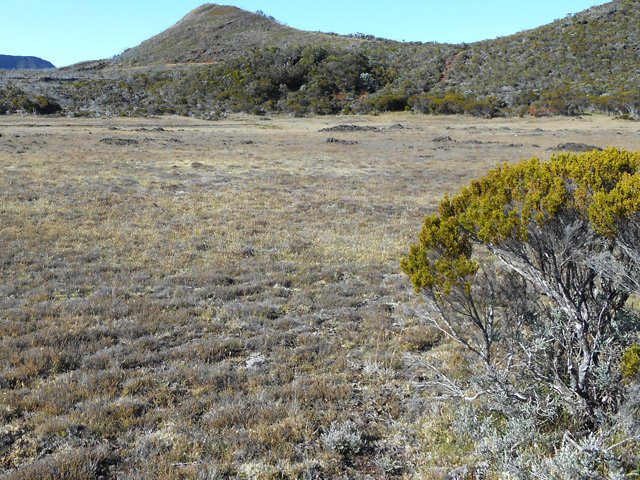 Les surfaces dénudées au pied du Textor et du Piton de Caille