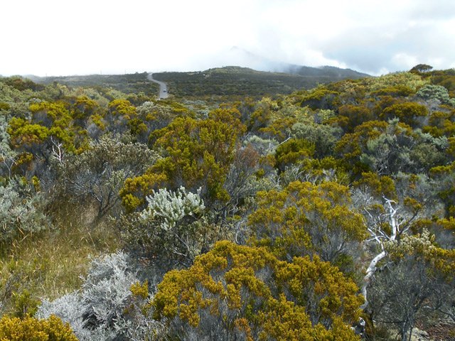 La brume cache pour un temps le nez de Bœuf
