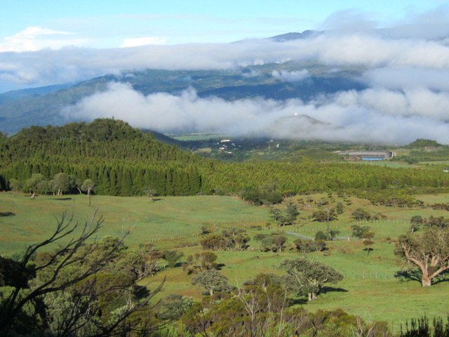 Les prairies vers le Tamarin Dodo, au pied des Trous Blancs
