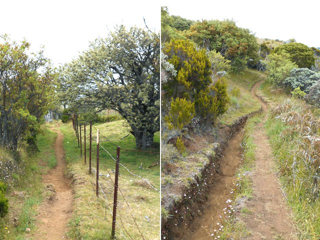 Le sentier des Trous Blancs utilisé par les vététistes