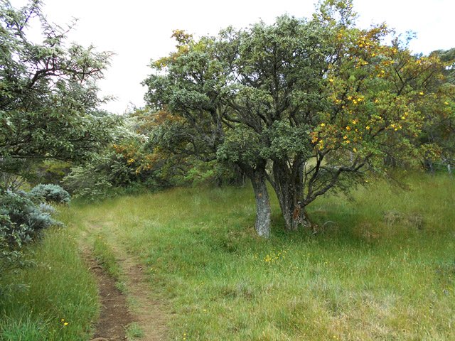 Agréables portions avant d'arriver au premier maar