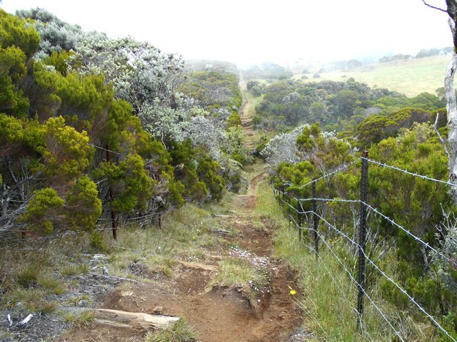 C'est parti pour plus de 2 km de barbelés de chaque côté du sentier
