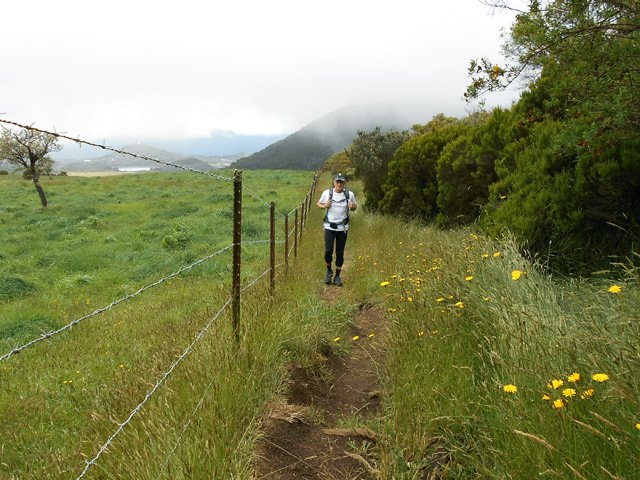 Entre prairie et Bras de Pontho sur un sentier agréable