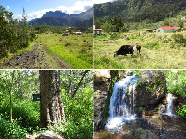 Agréable traversée de Marla en légère descente