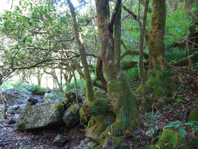 La remontée caillouteuse et rocheuse de la Ravine du Kerval