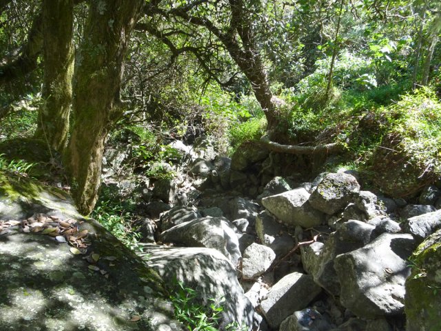 Quelques passages s'effectuent sur les berges rocheuses