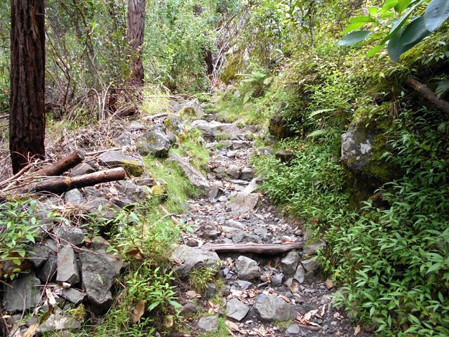 Certaines portions sont très caillouteuses