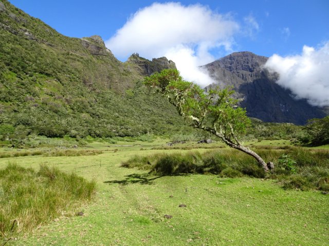 Arrivée au petit lac d'altitude indispensable à la vie des animaux