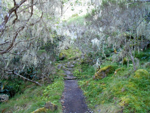 Balade agréable sur la Plaine des Fraises sur un sentier presque plat