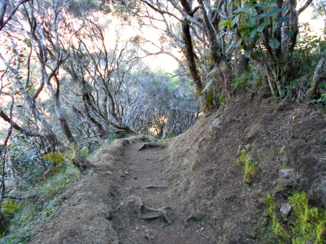 Les branles à l'approche du col