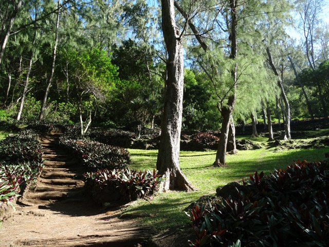 Le début de la montée par le sentier du cratère