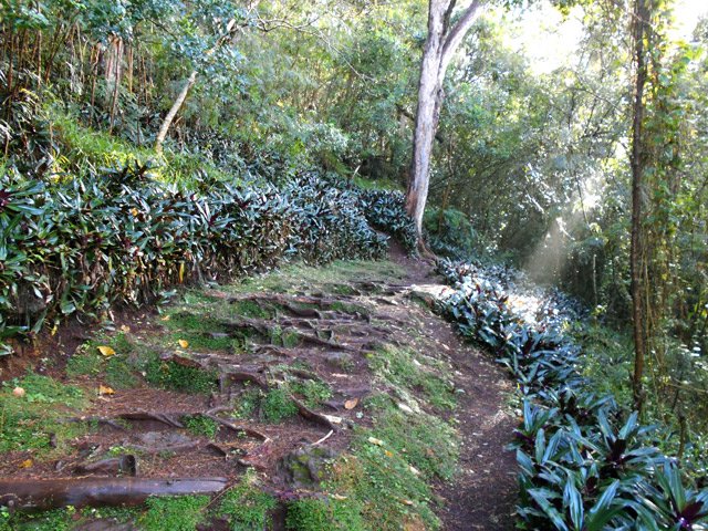 Les derniers mètres de la montée avant le monument