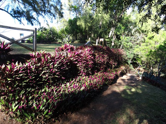 Le début de la descente vers la ville (délaissé sur ce circuit)