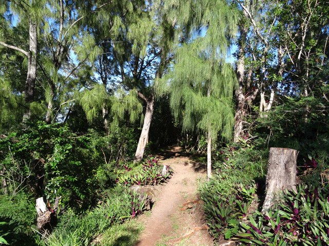Début du sentier qui redescend en lacets vers la mer