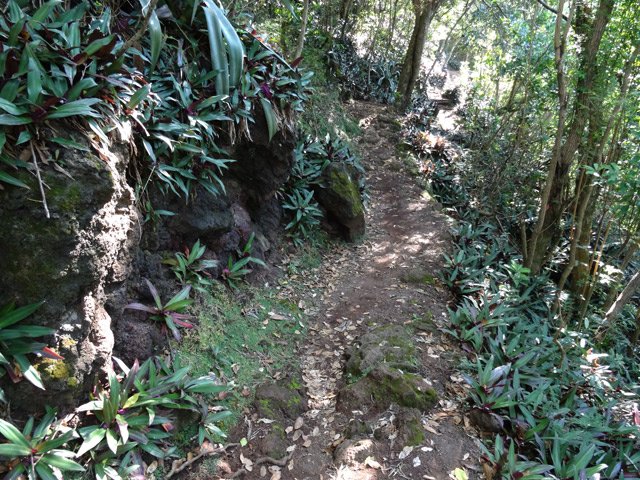 Le sentier est étroit mais très praticable