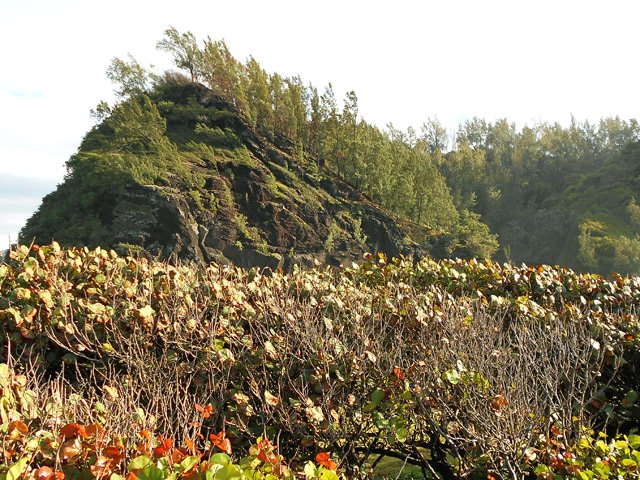 L'ouest du Piton Babet depuis la plage de galets