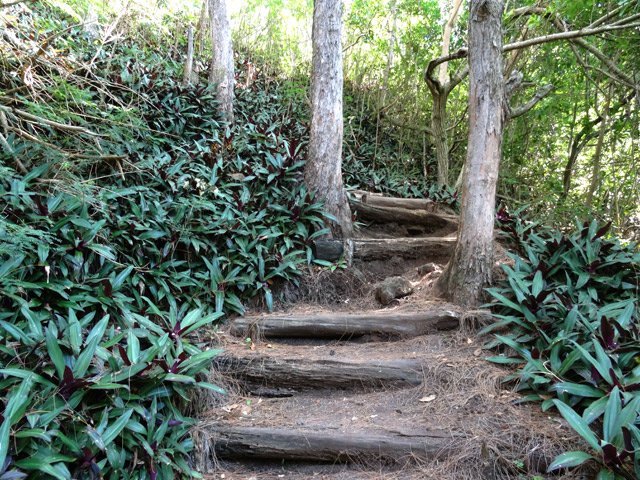 Il comporte parfois de hautes marches