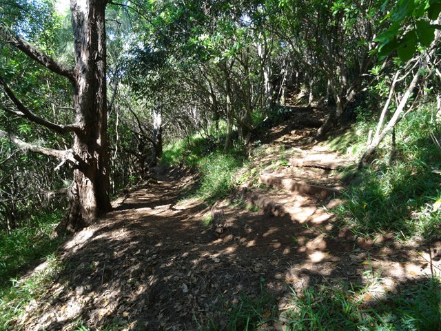 Les lacets sont serrés dans la forte descente