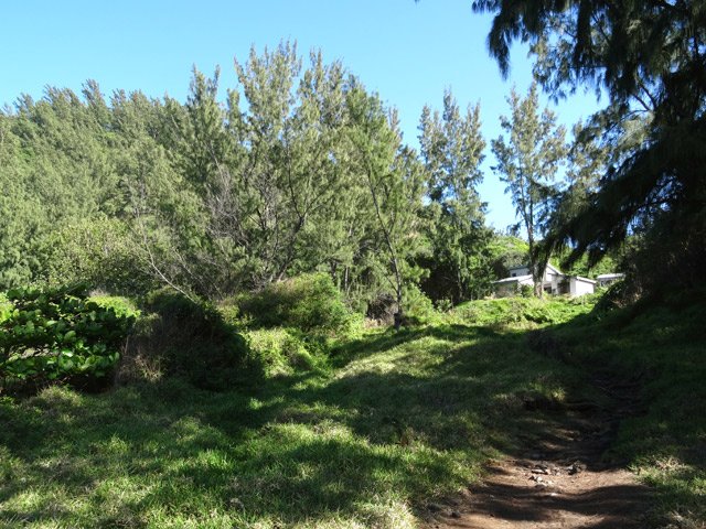 Le sentier qui remonte vers les premières cases de Saint-Joseph