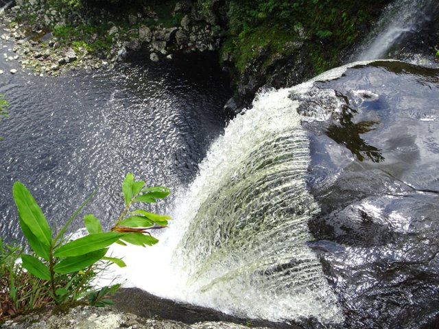 Beaux voiles aquatiques se précipitant dans le bassin Carrosse