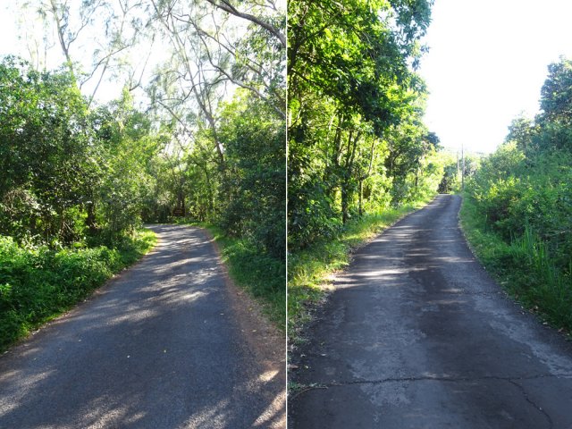 L'agréable Route Forestière de Mare Longue