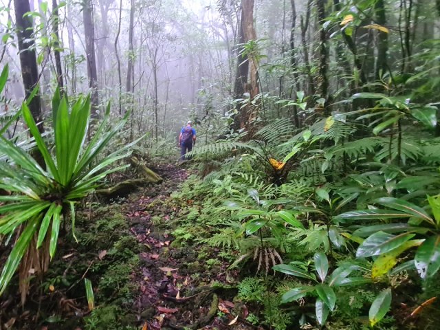 Il comporte quelques courtes descentes avant de rejoindre la RF des Camphriers