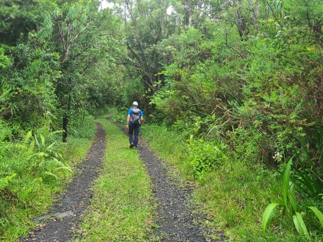 Quatre km de plaisir à reposer les jambes à travers les bois de couleurs