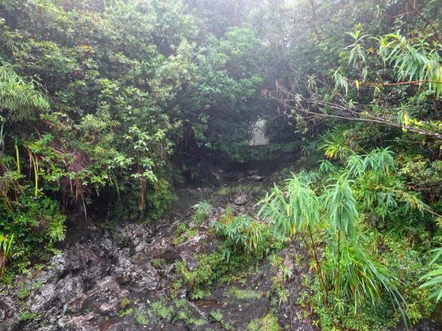 Une douzaine de ravines plus ou moins encaissées à passer sur des ponts