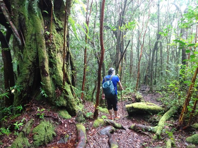 De beaux spécimens bordent le GRR2