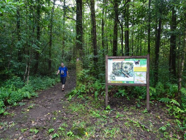 Au passage, un peu de lecture sur la réserve biologique