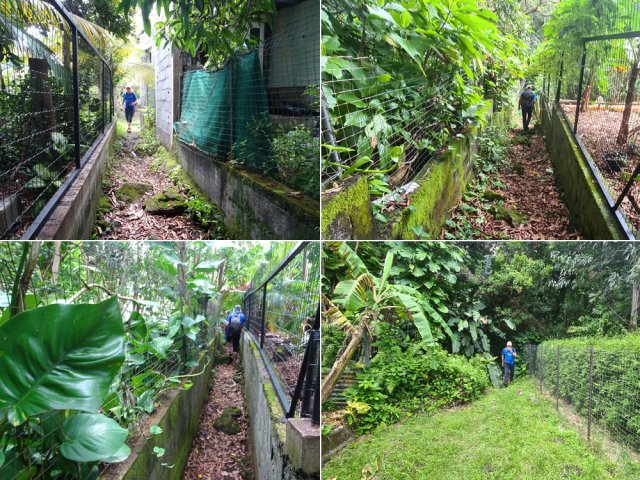 Le raccourci entre jardins et cases vers le Cap Méchant