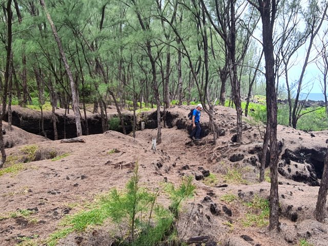 Marche sur les aiguilles de filaos entre quelques fissures du terrain