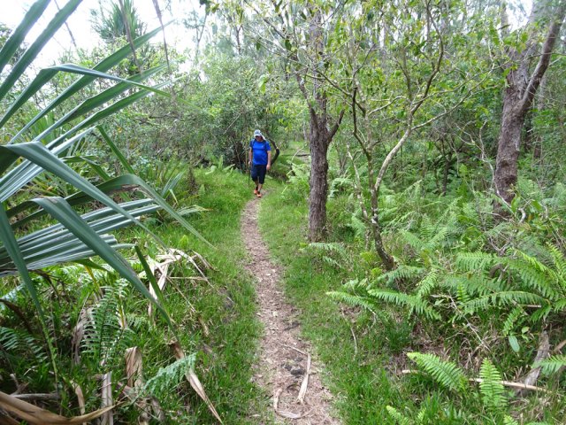 Superbe sentier littoral très bien entretenu