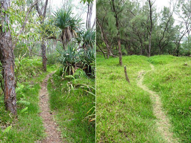 Des parties herbeuses à quelques mètres des vagues