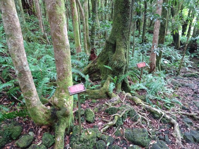 L'arrivée au sentier botanique