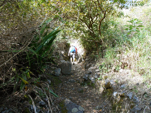 Le sentier des calumets, raccourci qui mène au réservoir