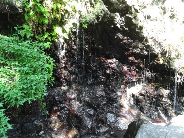 Une source d'eau fraîche en rive gauche