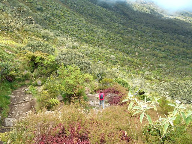 Les lacets évitent de trop fortes pentes