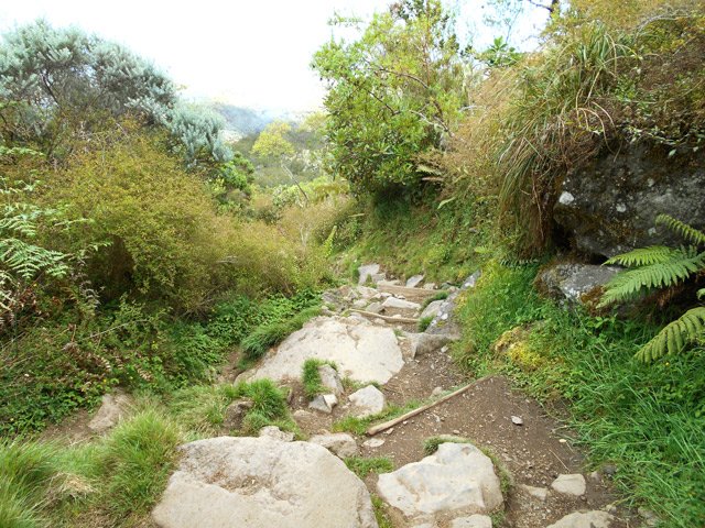 Certaines zones sont assez caillouteuses