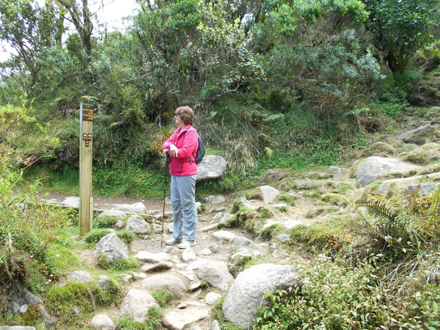 Le croisement avec le sentier remontant au Col de Fourche