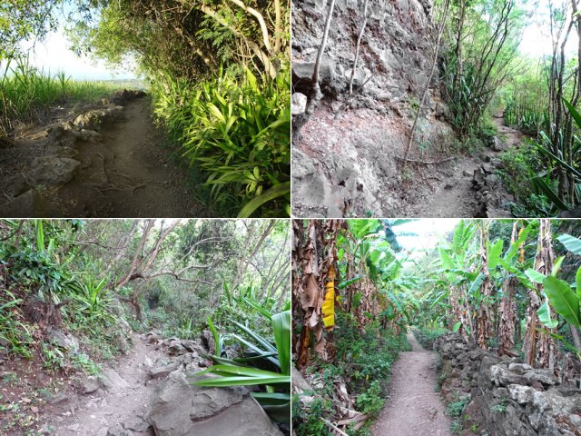 Quelques portions de la descente par le sentier du Dassy