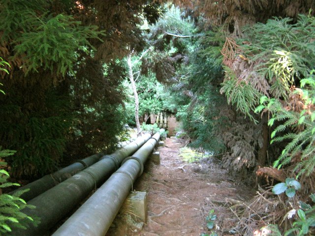 Le sentier du Piton Dugain près des tuyaux vers le château d'eau
