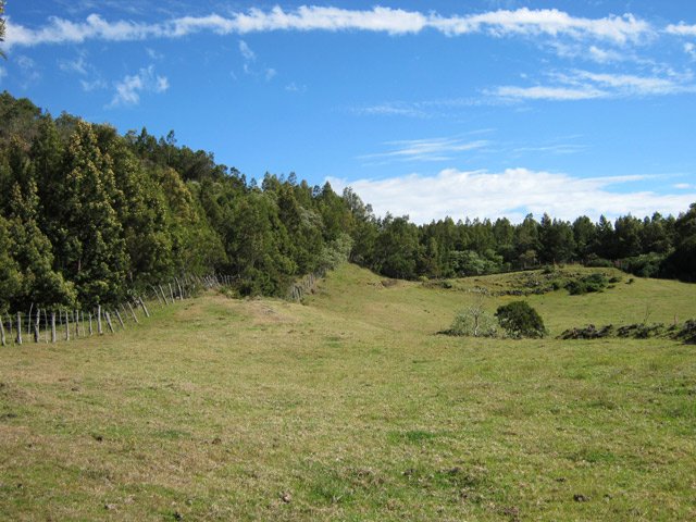 Les prairies qui bordent le Piton Dugain
