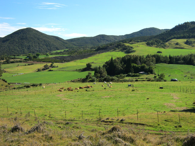 Des prairies partout dans la région de Bourg Murat