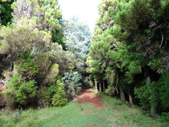 La piste à l'approche du sommet